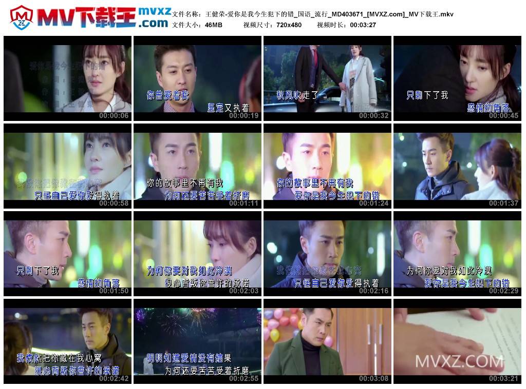 王健荣-爱你是我今生犯下的错_国语_流行_MD403671